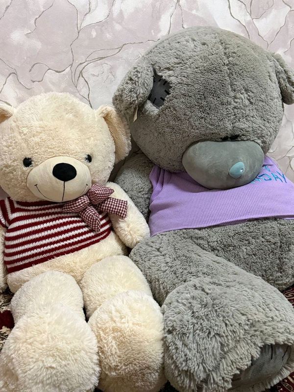yangi koreadan kelgan oqi kelishtirib beramiz yangi koreadan kelgan oqi kelishtirib beramiz
