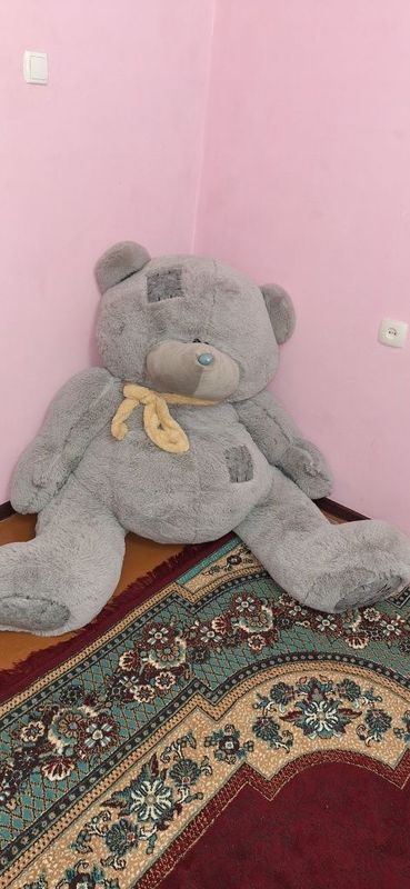 Teddy yumshoq ayiq