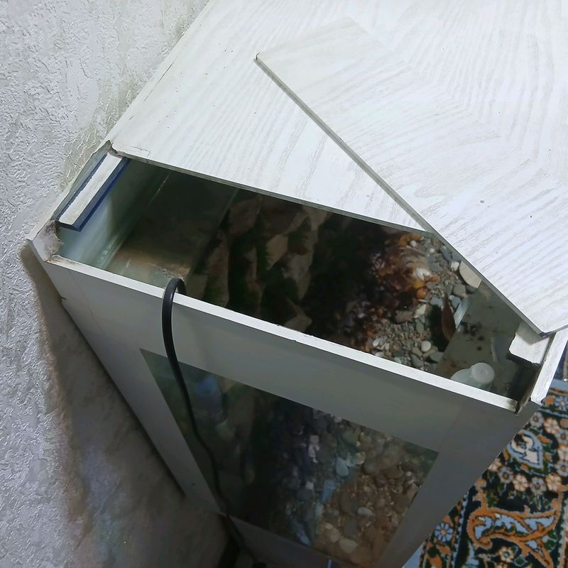 Akvarium