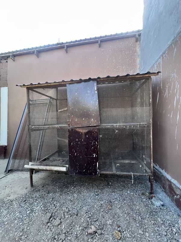 Tovuq Katak 2 qavatli Tovuq Katak 2 qavatli