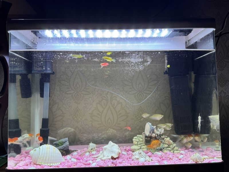 Akvarium sotiladi 90 litr suv oladi Akvarium sotiladi 90 litr suv oladi