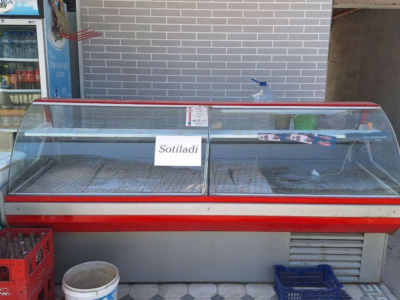 xolodilnik. sirdaryo. xolati ideal. kelishiladi