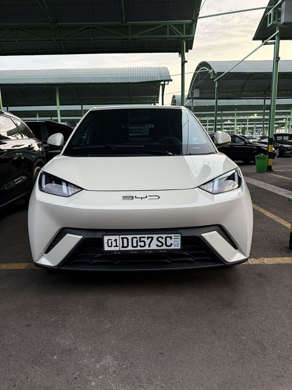 BYD seagull toza