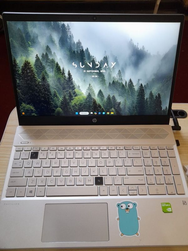 HP pavilion laptop 15