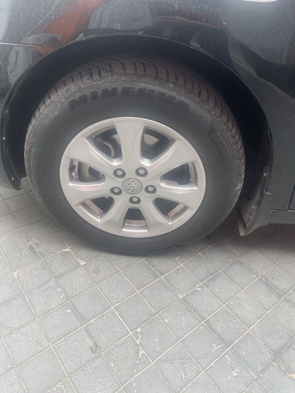 Tayota diska balon butun Tayota diska balon butun