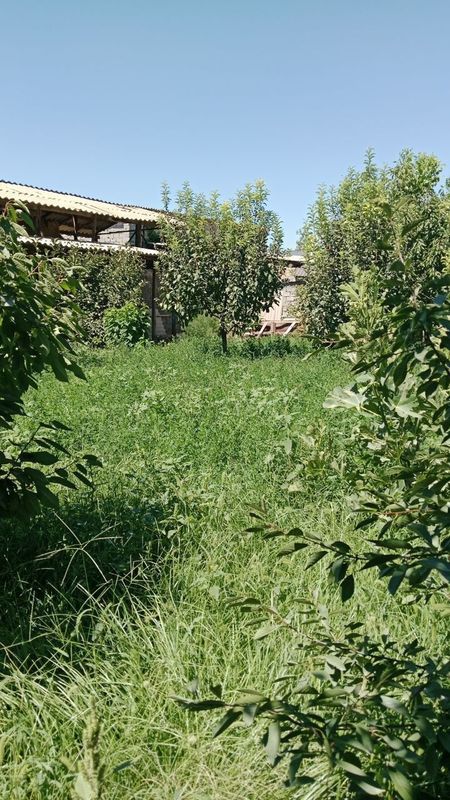 Срочно продается земля под строительство 5 соток Кибрай 5 соток Срочно продается земля под строительство 5 соток Кибрай 5 соток