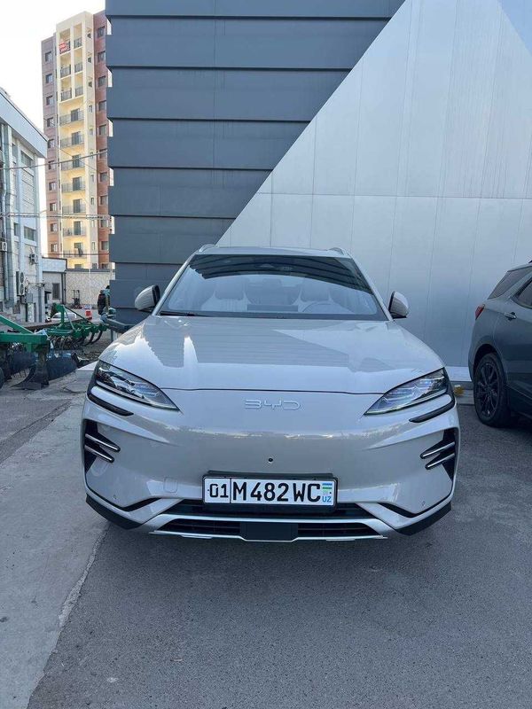byd chempion 2025 restailing