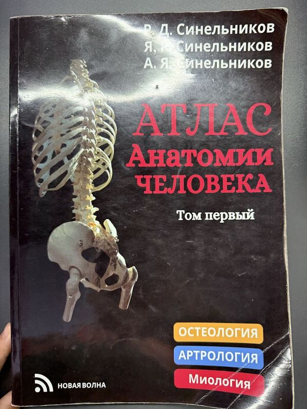 Атлас анатомия человека 1 том Атлас анатомия человека 1 том