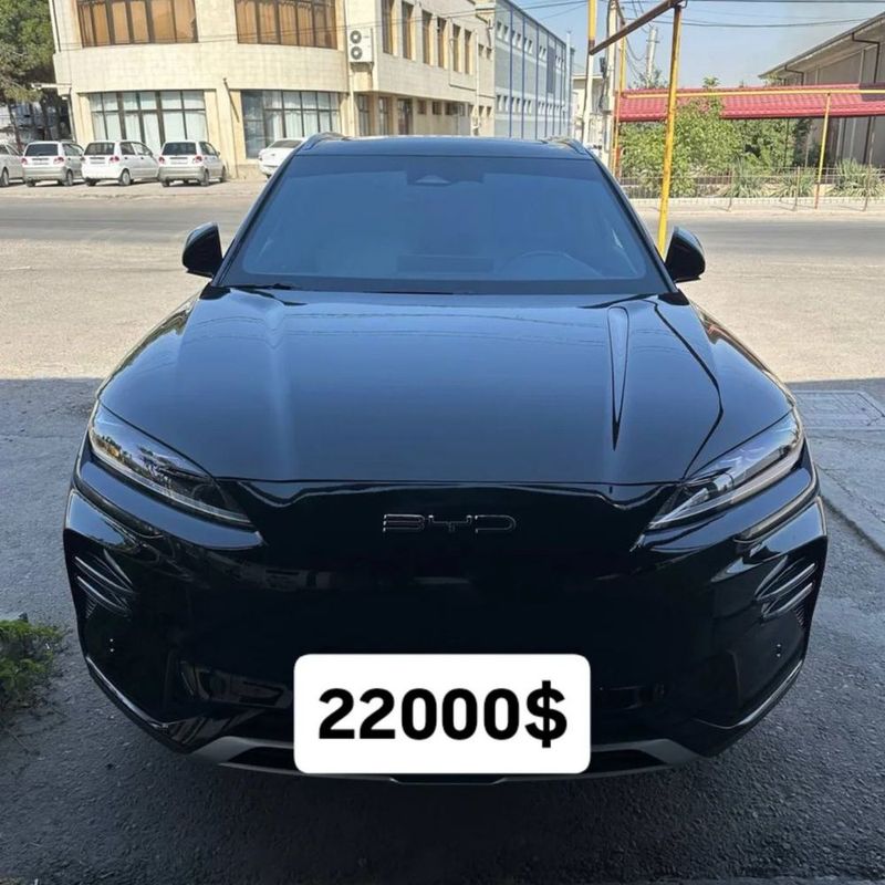 Byd Chempion 605 srochna Byd Chempion 605 srochna
