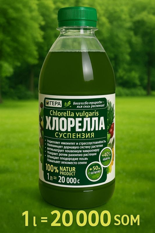 Хларела для ростений