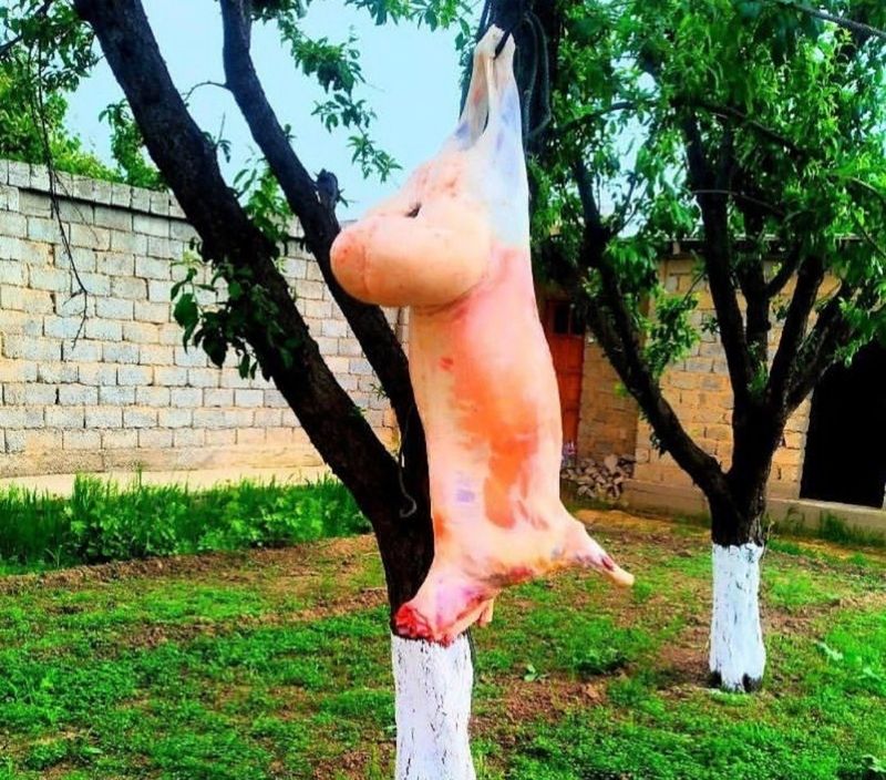 Qassob xizmati sifatili qoy soyish Qassob xizmati sifatili qoy soyish