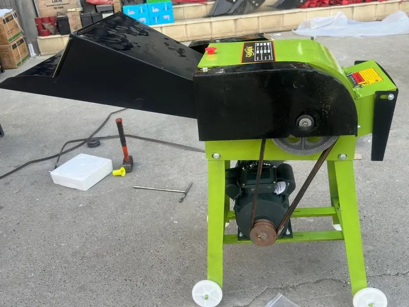 Жоди 4 та пичоглик !!!