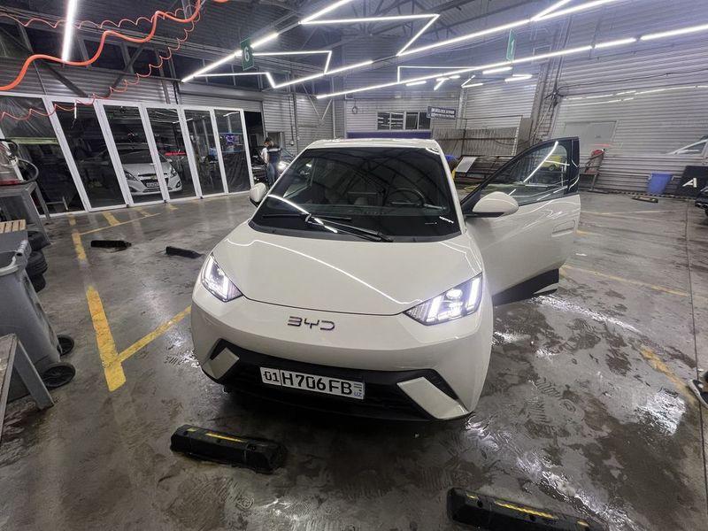 BYD seagull Honor 2024, 405 км
