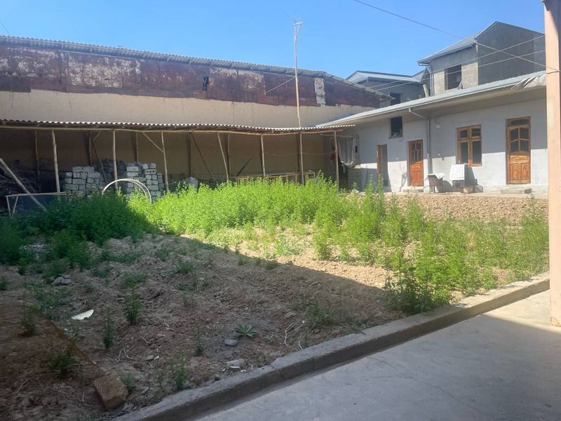 Toshkent tumani Olmazor koʻchasida 2sotixli quruq yer arzon narxda Toshkent tumani Olmazor koʻchasida 2sotixli quruq yer arzon narxda
