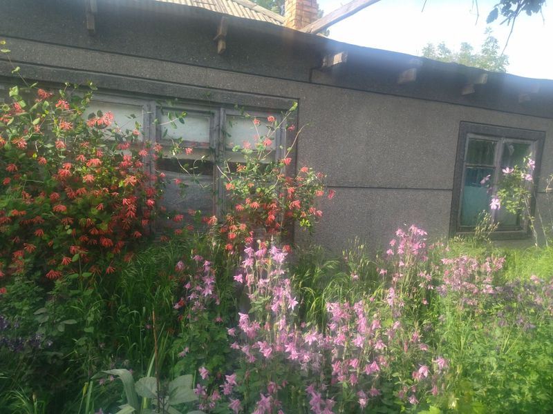 Дом с участком земли Дом с участком земли