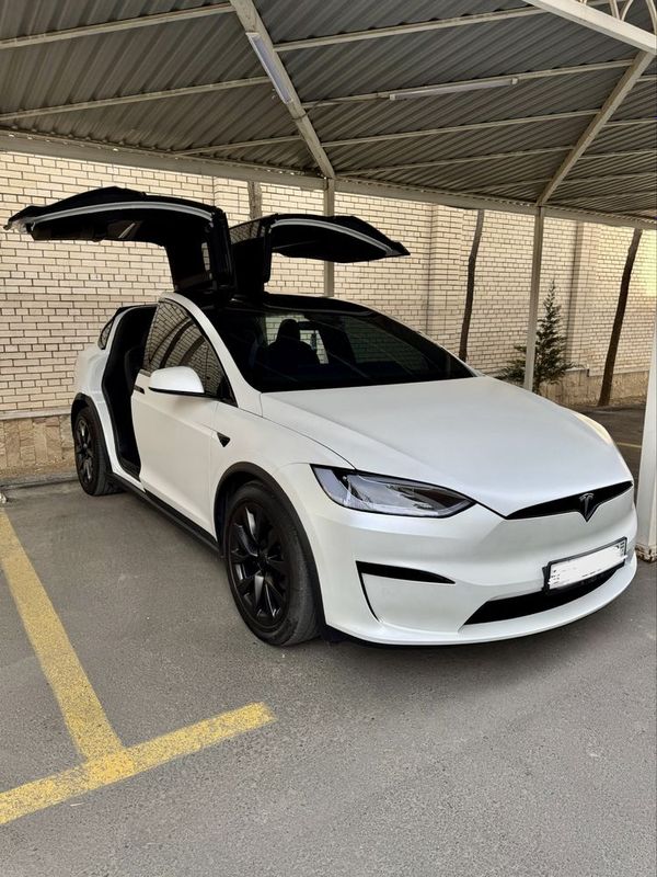 Tesla Model X 2023