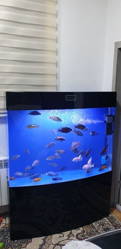 Xitoy akril akvarium baliqlarsiz Xitoy akril akvarium baliqlarsiz