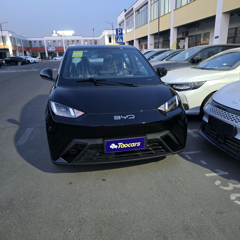 BYD segual 405km ful natariusga tayyor BYD segual 405km ful natariusga tayyor