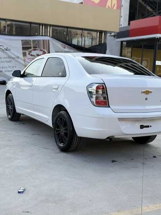 Cobalt midnight nasiya bor MASLA Cobalt midnight nasiya bor MASLA