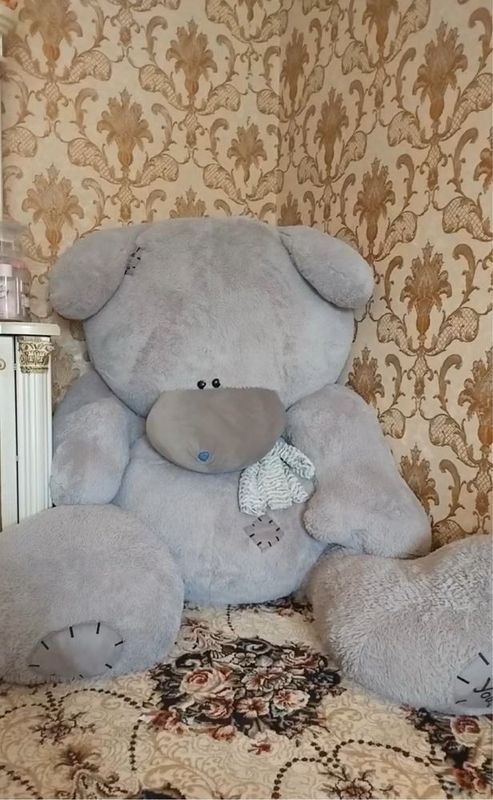 Yangi teddi narxi kelishiladi Yangi teddi narxi kelishiladi