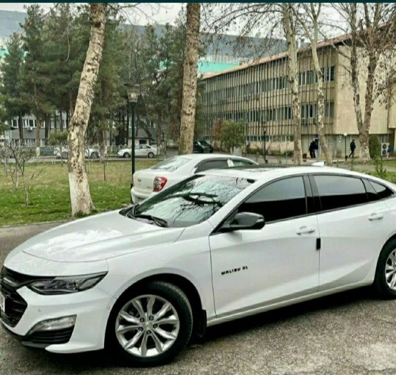 Малибу xl 2023. Краска тоза. Малибу xl 2023. Краска тоза.
