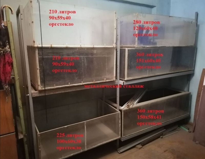 Аквариумы Аквариумы
