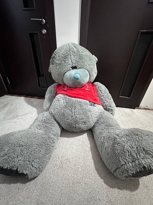 Teddy ayiq sotiladi