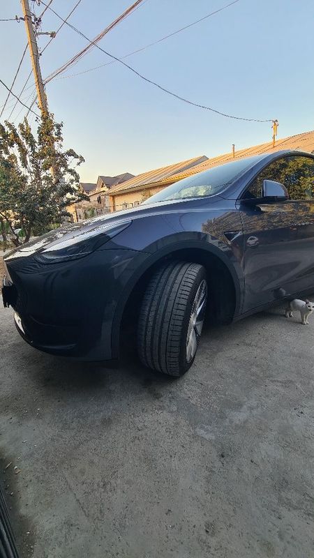 tesl model Y Standart plus CHINA