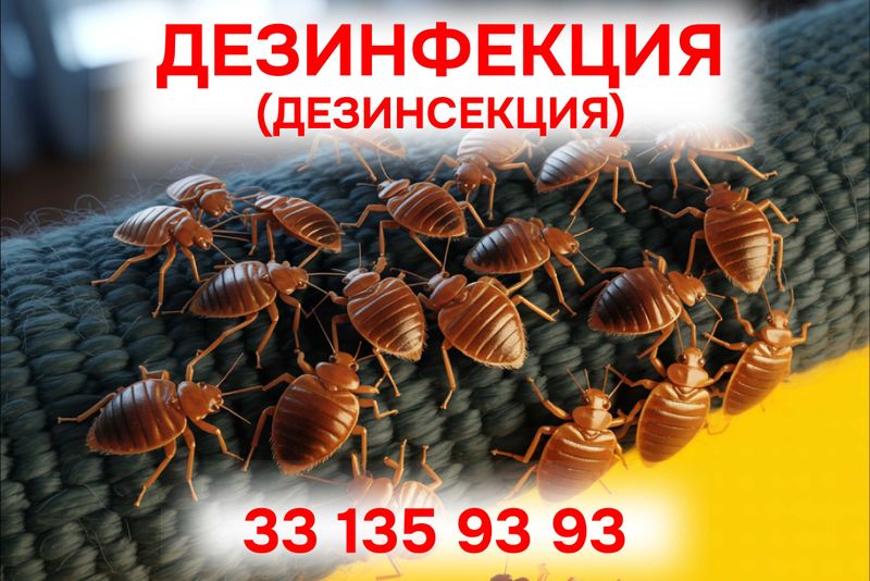 Дезинфекция 24/7 Дизинфекция Дезенфекция Dezinfektsiya Dizinfektsiya Дезинфекция 24/7 Дизинфекция Дезенфекция Dezinfektsiya Dizinfektsiya
