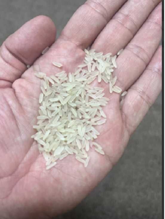 Среднезернистый рис «Тадж Махал» (Rice IRR6), производства Пакистан Среднезернистый рис «Тадж Махал» (Rice IRR6), производства Пакистан
