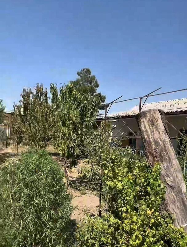 Abay mahalla, Alibek masjid yonidan 10 sotixli xonadon