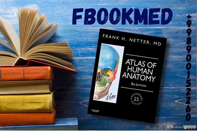 Netter Atlas of human anatomy