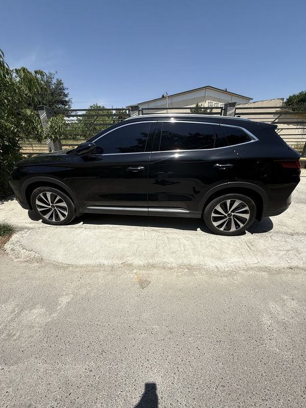 BYD champion, diler dan BYD champion, diler dan