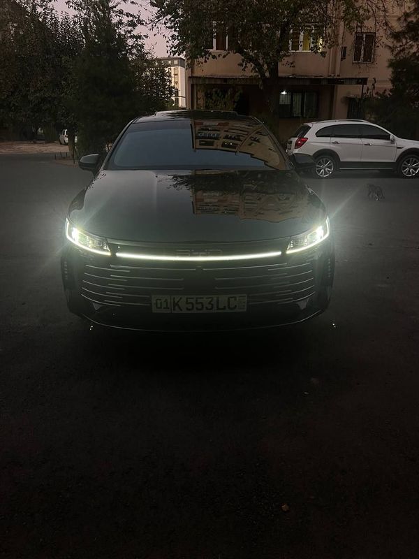 Byd chazor fulli