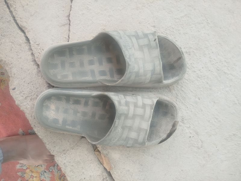usta shipagi tavaruk