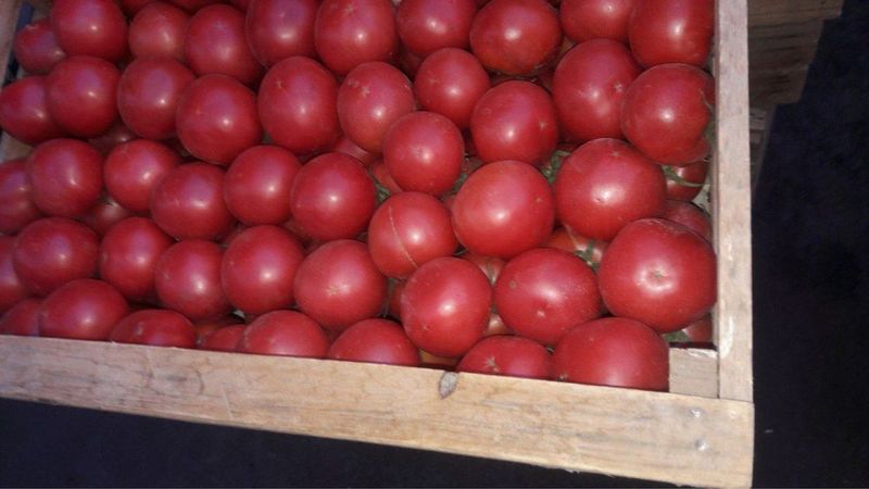 Продаю вкусный помидоры
