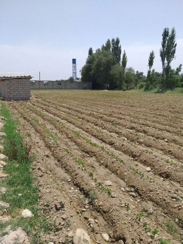 yer sotiladi 24 sotix surhondaryo denov tumani tarahli mahallasi