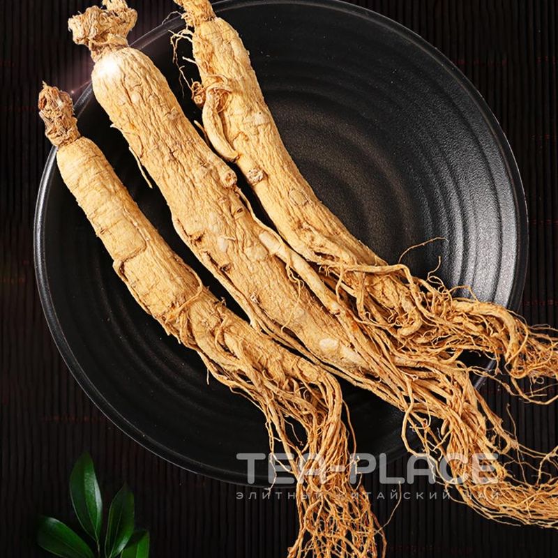 Корень женьшеня дикий Корень женьшеня дикий
