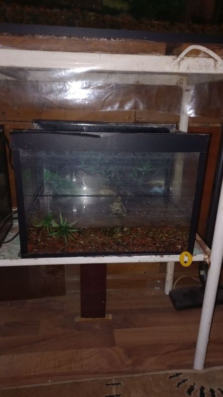 Akvarium taxminiy 40 yoki 50 lt