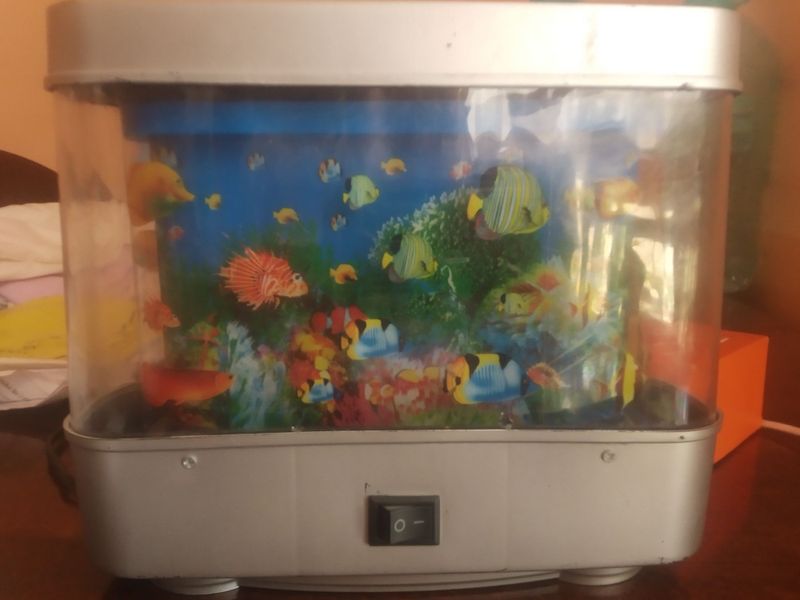 Tungi chiroq akvarium