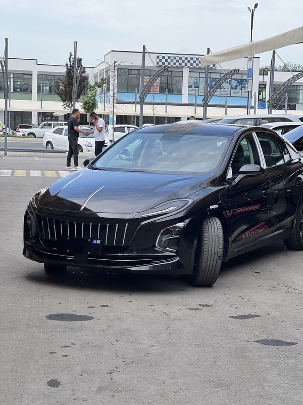 Hongqi eqm5.