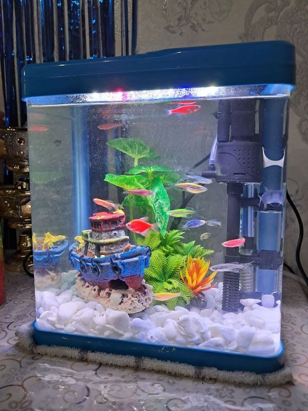 Аквариум akvarium akvarum акварум