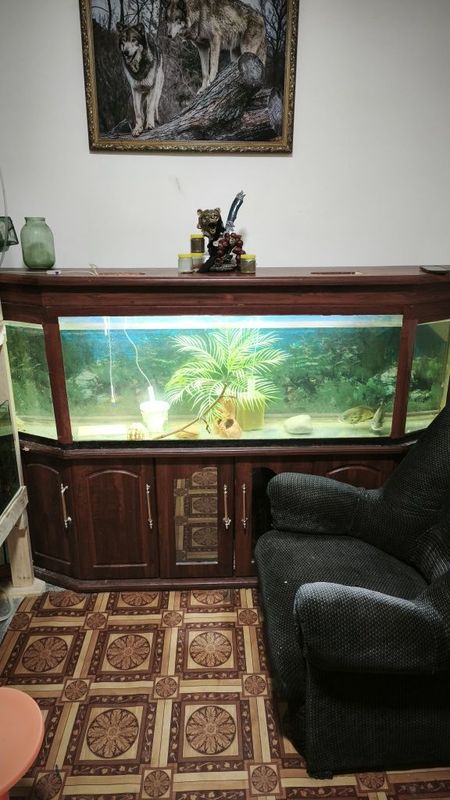 Akvariyum sotiladi