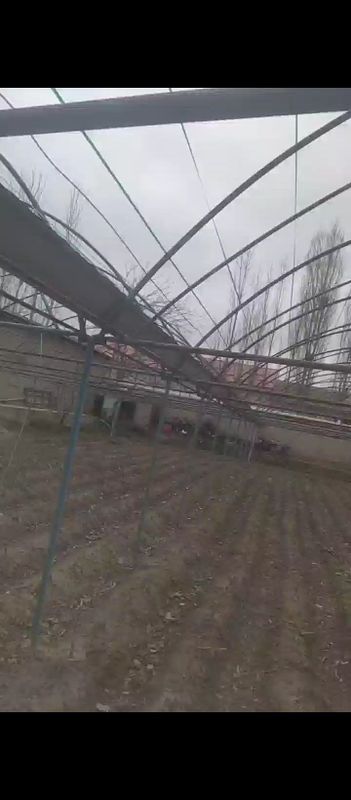 Tipilitsa parnik turba bilan Tipilitsa parnik turba bilan