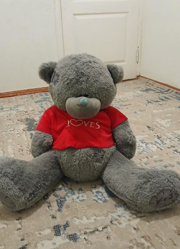 Yaxshi teddy ayiq Yaxshi teddy ayiq