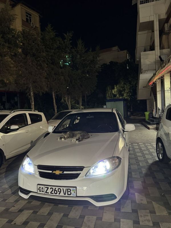 Jentra 2018 yil 95.000 probeg kraska tozs Jentra 2018 yil 95.000 probeg kraska tozs