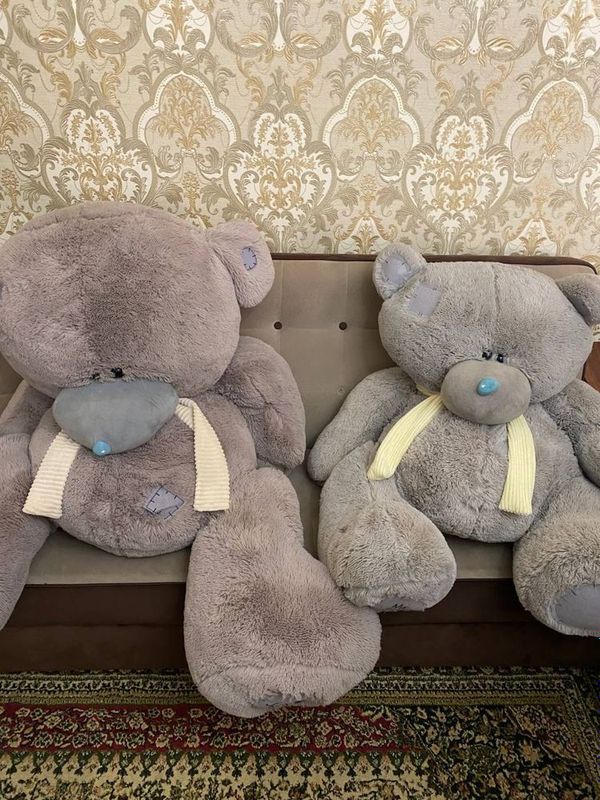 Teddy oynchoq kotta kichik Teddy oynchoq kotta kichik