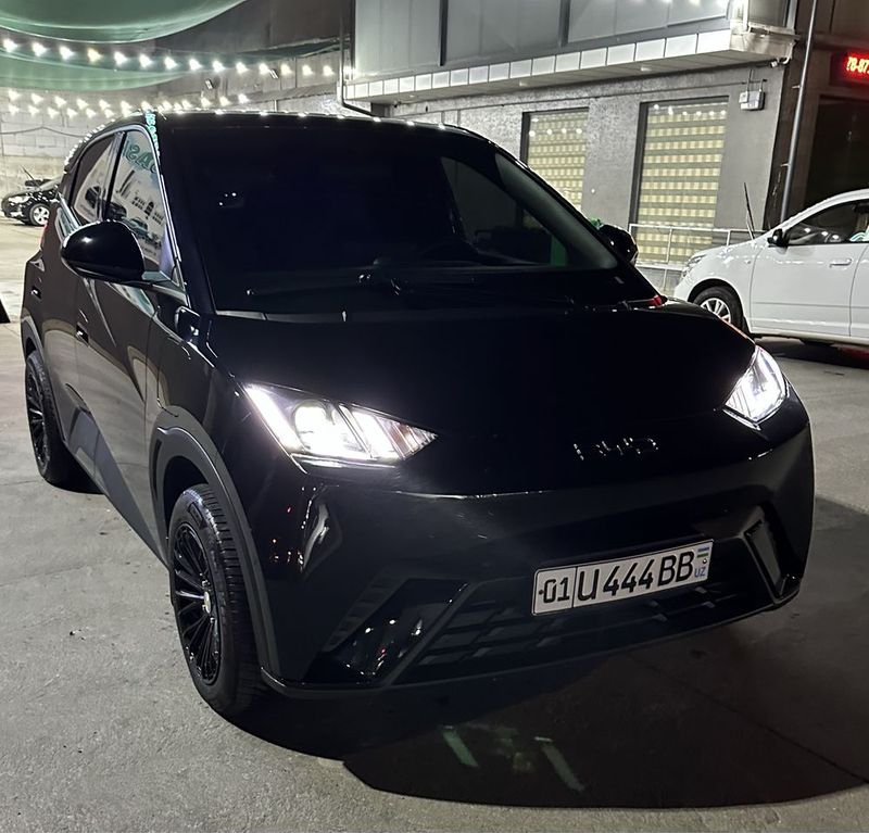 Byd Seagull qora kraska toza Byd Seagull qora kraska toza