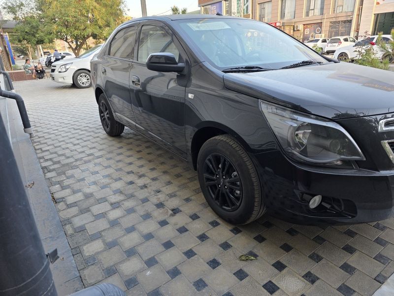 Cobalt midnight 2025 Maslo