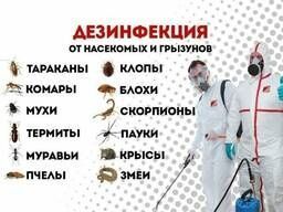 Дизенфекция эффективная. Дизенфекция эффективная.